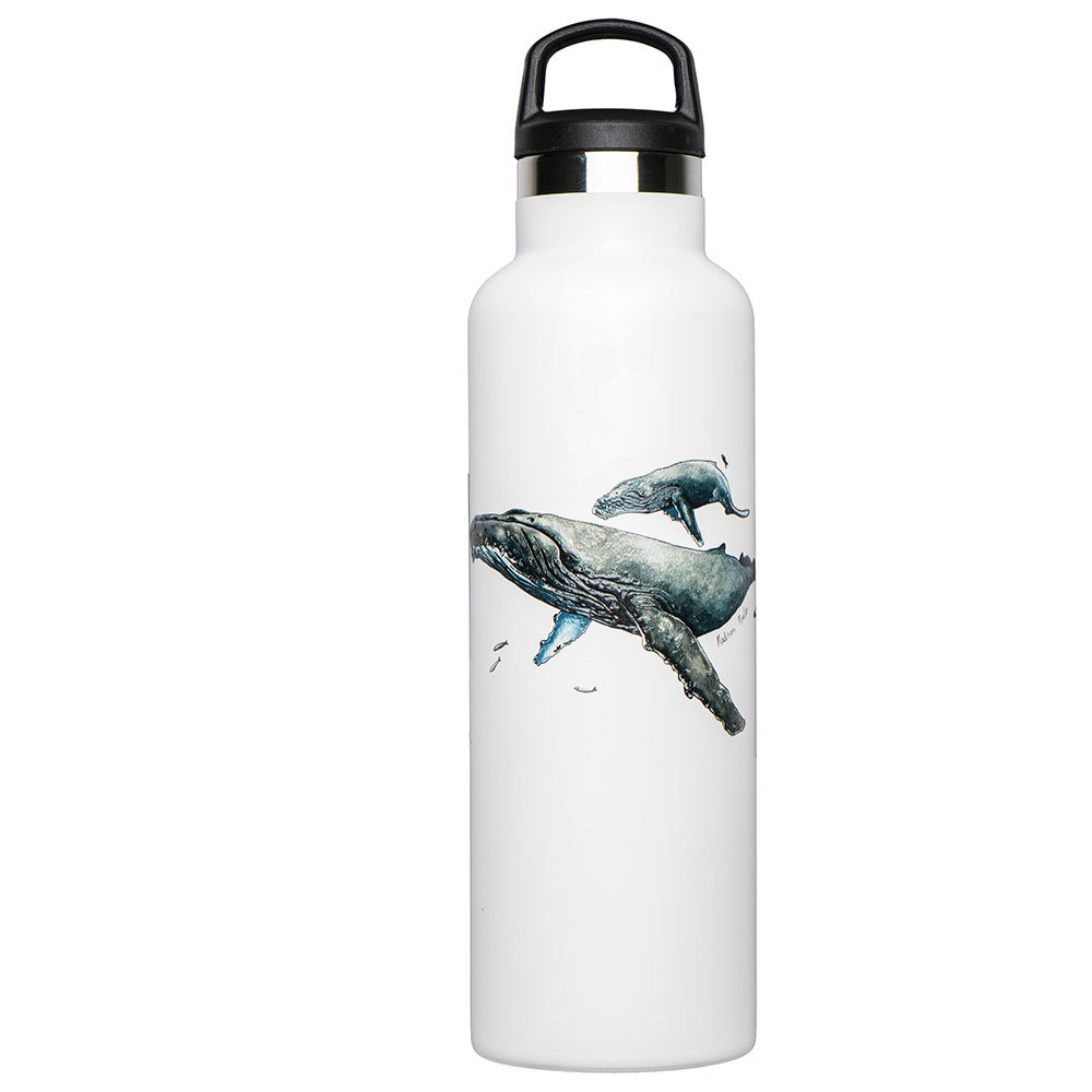 Fish Tank Humpback Whale&diver Bottle 600ml Vit
