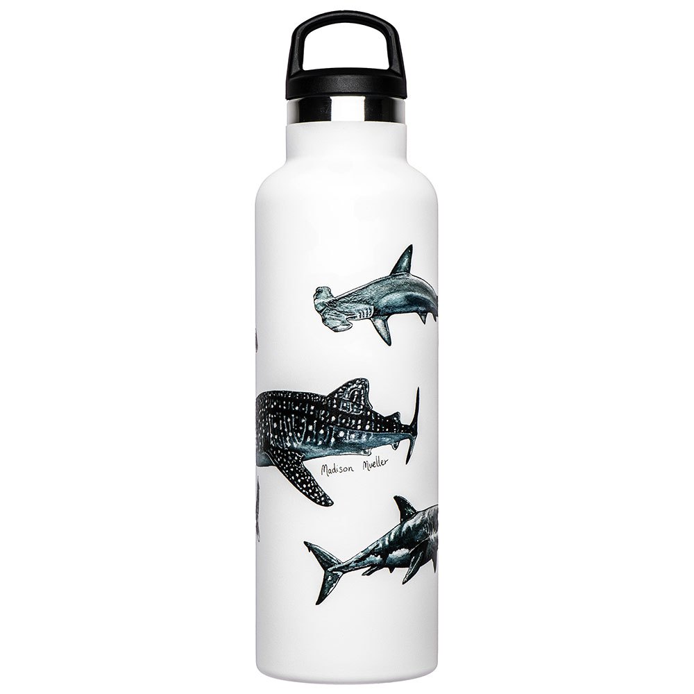 Fish Tank Shark Poster Bottle 600ml Vit