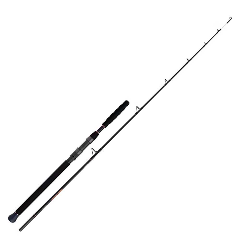 Shimano Fishing Beastmaster Catfish Baitcasting Rod Silver 1.85 m / 200 g