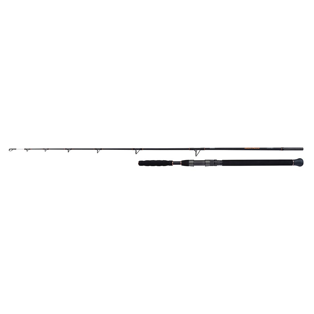 Shimano Fishing Beastmaster Catfish Rod Silver 1.85 m / 200 g