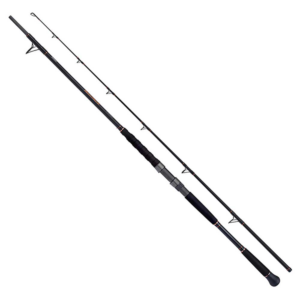 Shimano Fishing Beastmaster Lure Catfish Rod Silver 2.70 m / 200 g