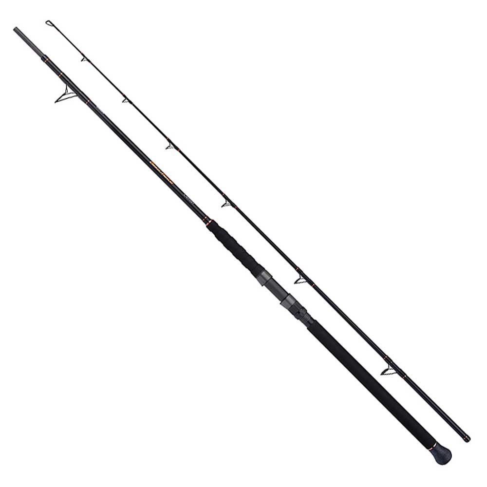 Shimano Fishing Beastmaster Multi Catfish Rod Silver 2.30 m / 200 g