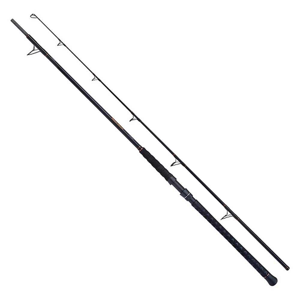 Shimano Fishing Beastmaster Static Catfish Rod Silver 2.80 m / 350 g