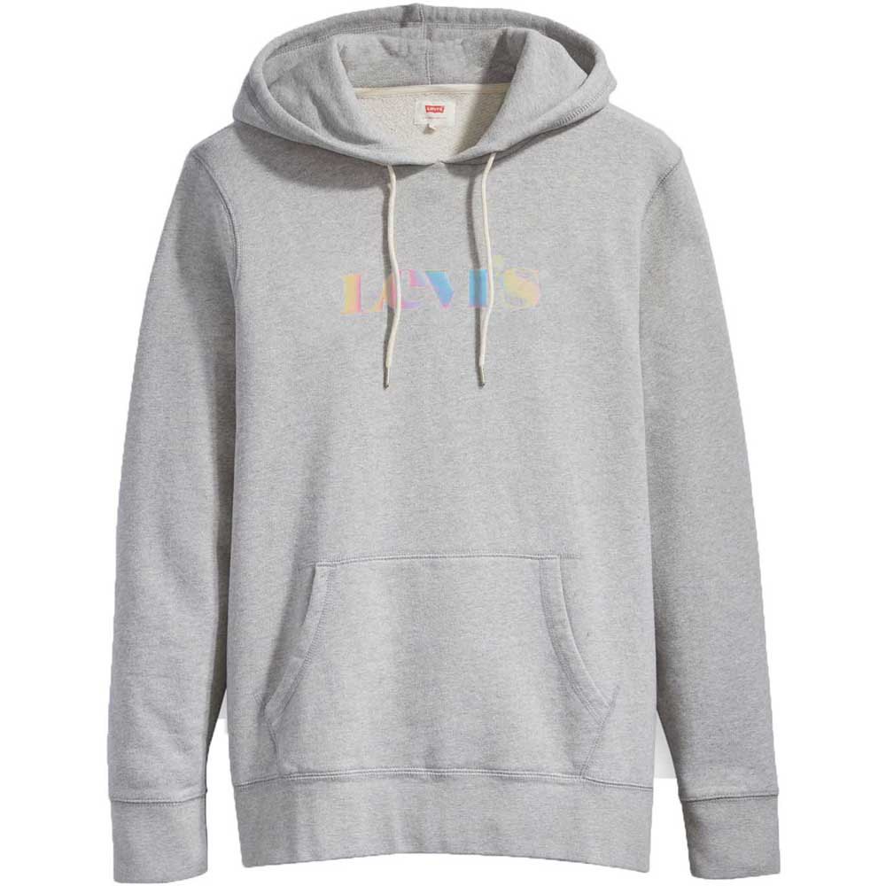 Levi´s ® T2 Relaxed Graphic Hoodie Grå S Mand