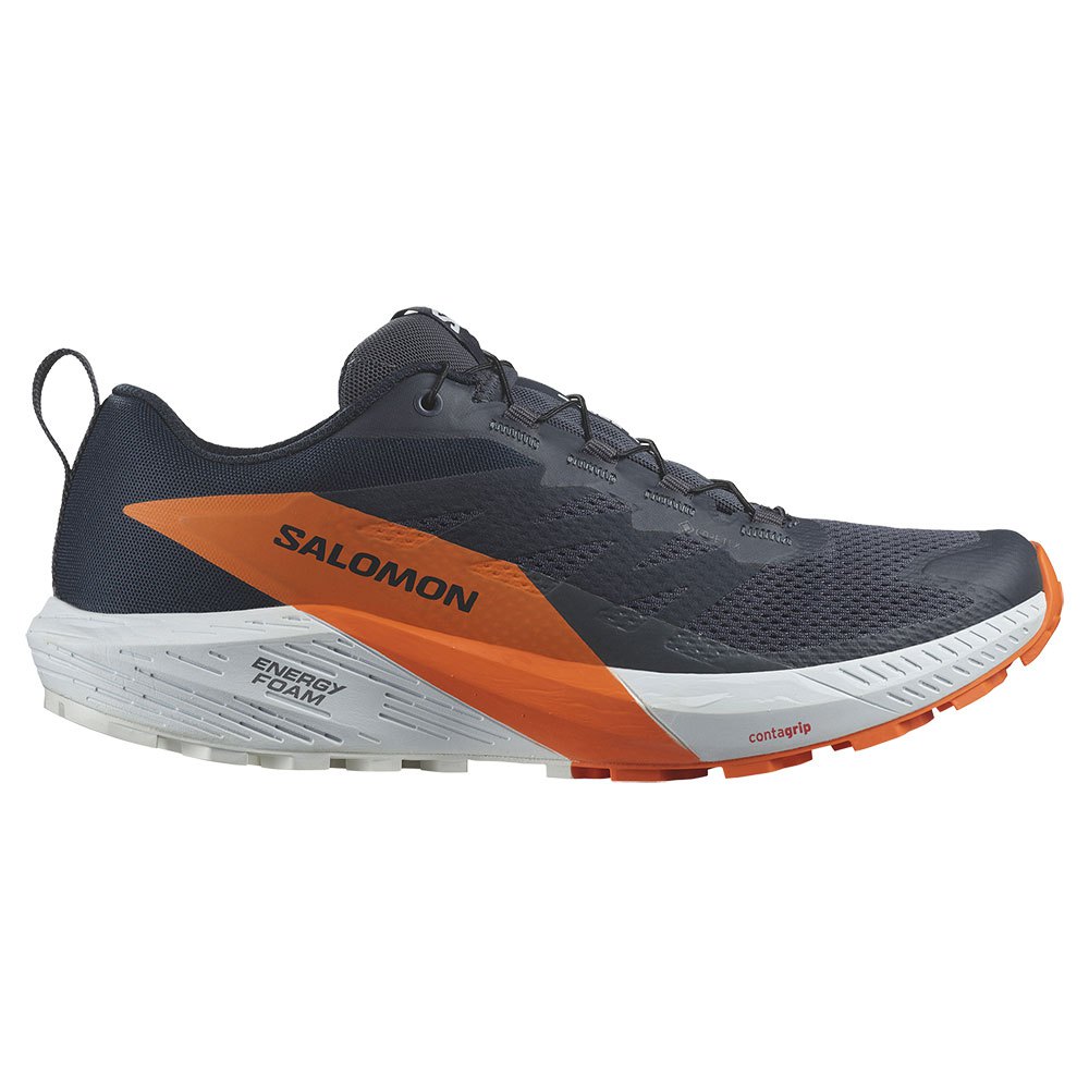 Salomon Sense Ride 5 Goretex Trail Running Shoes Blå EU 40 Mand